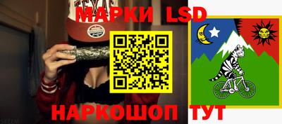 ALPHA PVP Гай
