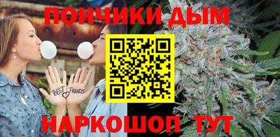 ALPHA PVP Гай