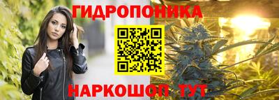 спиды Гагарин
