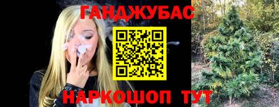 спиды Гагарин