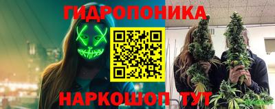 ALPHA PVP Гай