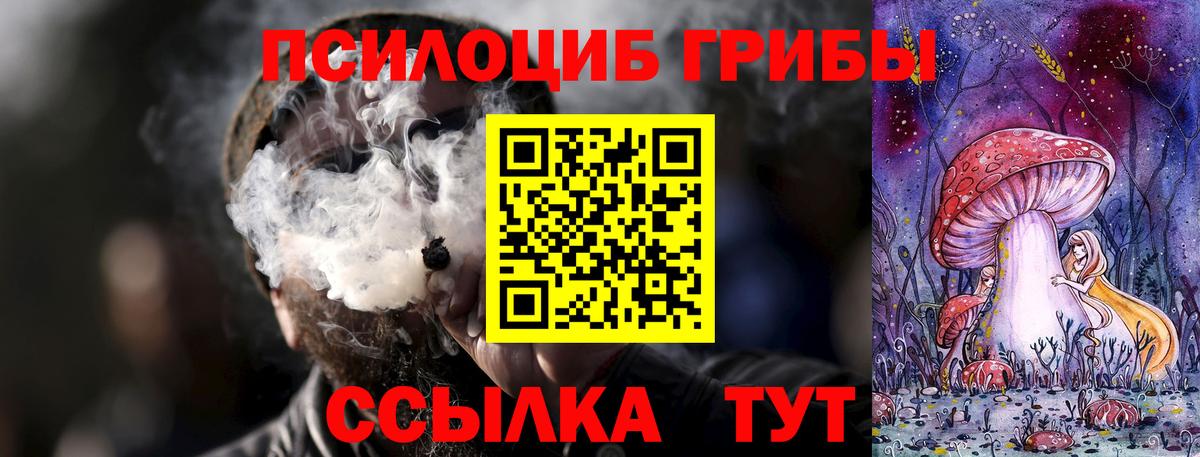 что такое наркотик  Вход с VPN  Малоярославец  Псилоцибиновые грибы мухоморы 